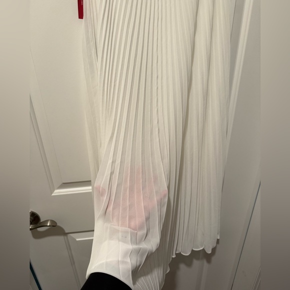 Carbon38 Mesh Pleated Maxi Skirt - Picture 9 of 9